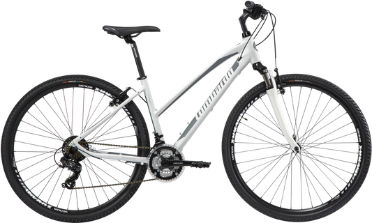 LOMBARDO Amantea 100 Agevole