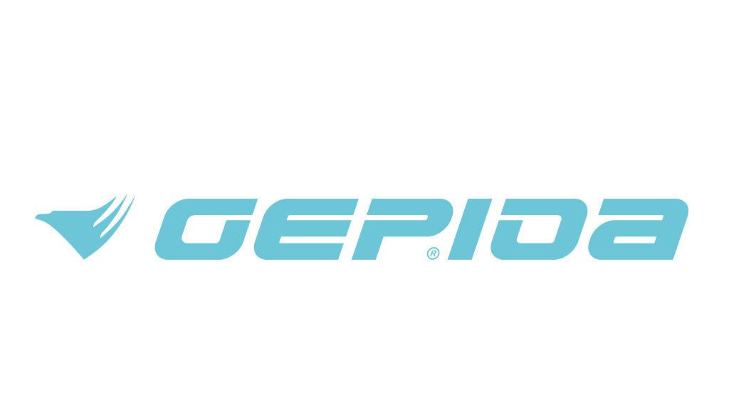 GEPIDA